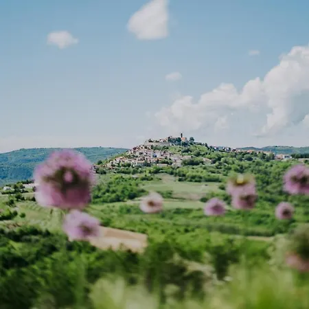 Luxury Estate With 6 Hectares Land Near Hilltop Town Motovun Villa *