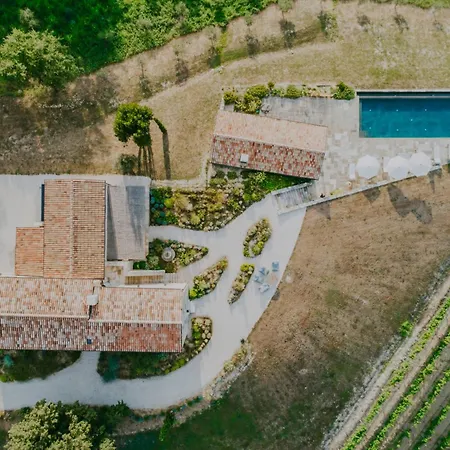 Luxury Estate With 6 Hectares Land Near Hilltop Town Motovun Villa